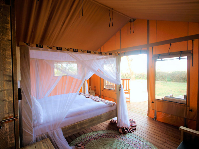 africa safari lake manyara (luxury glamping tent)